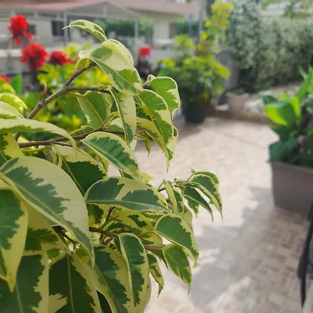 Διαμέρισμα Myhope Χανιά